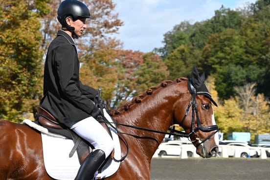 ノッキングポイントの画像