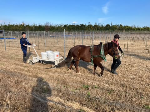 ラファルのサブ画像