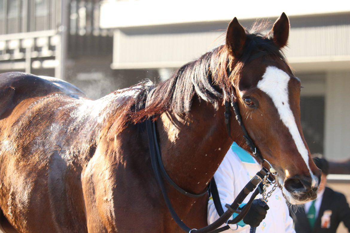 トラペジウムのサブ画像