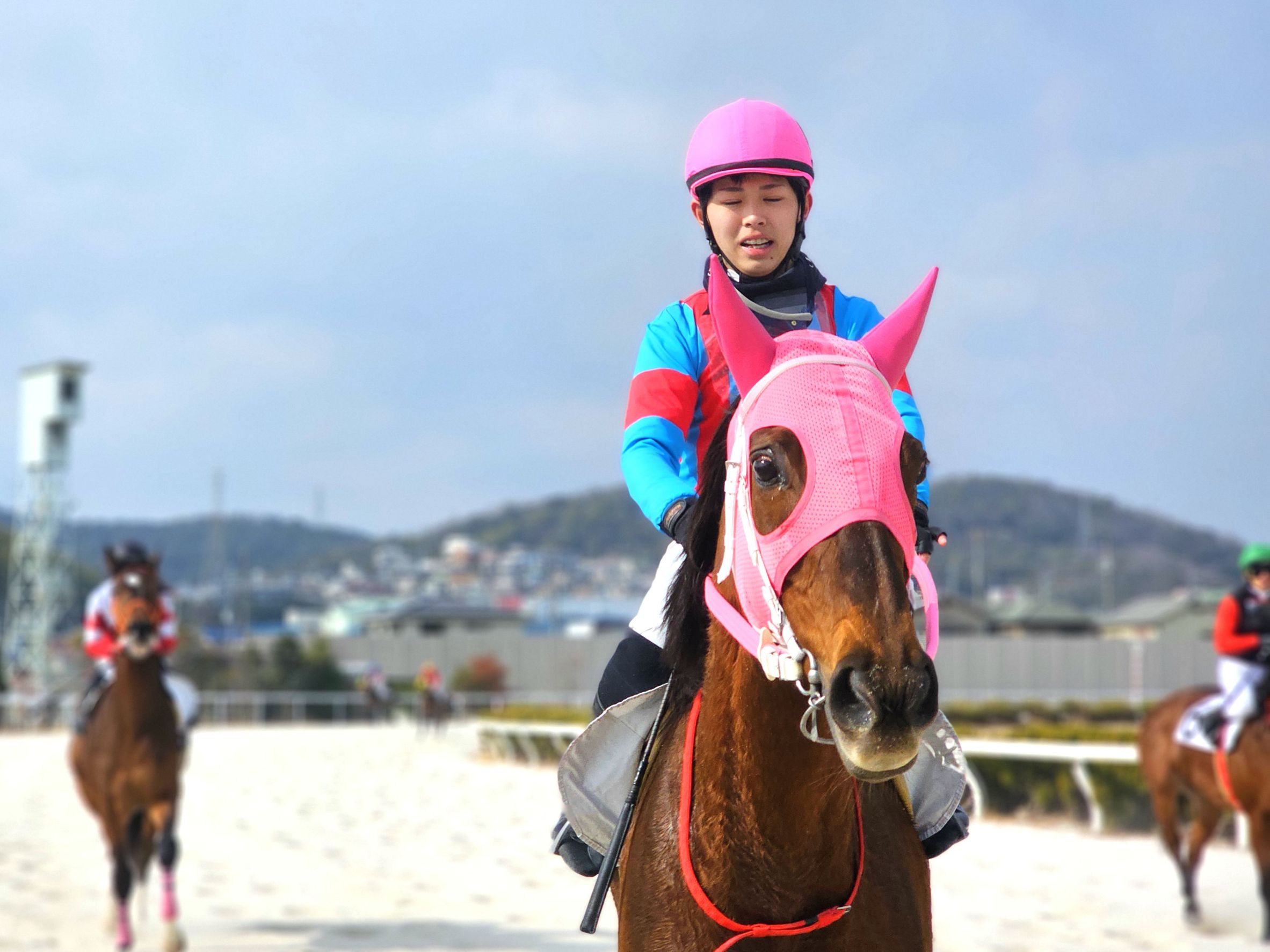 ローザーブルーの画像