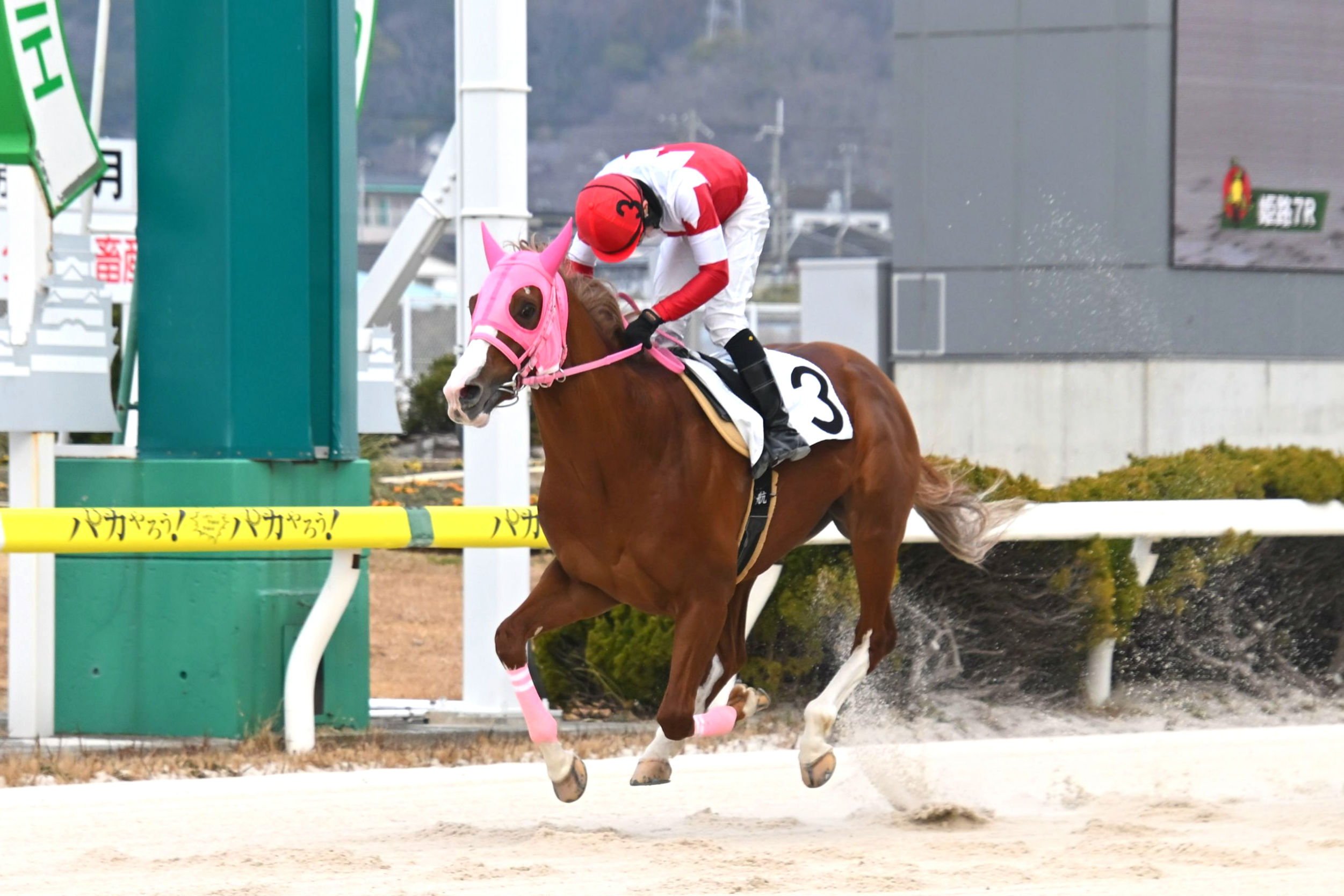 モノノフノミチの画像