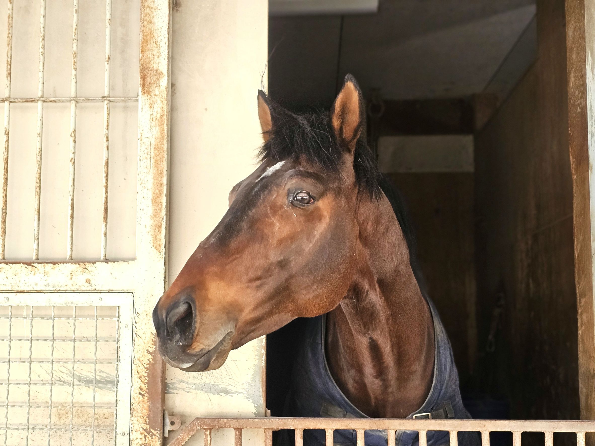 グランドルチルのサブ画像