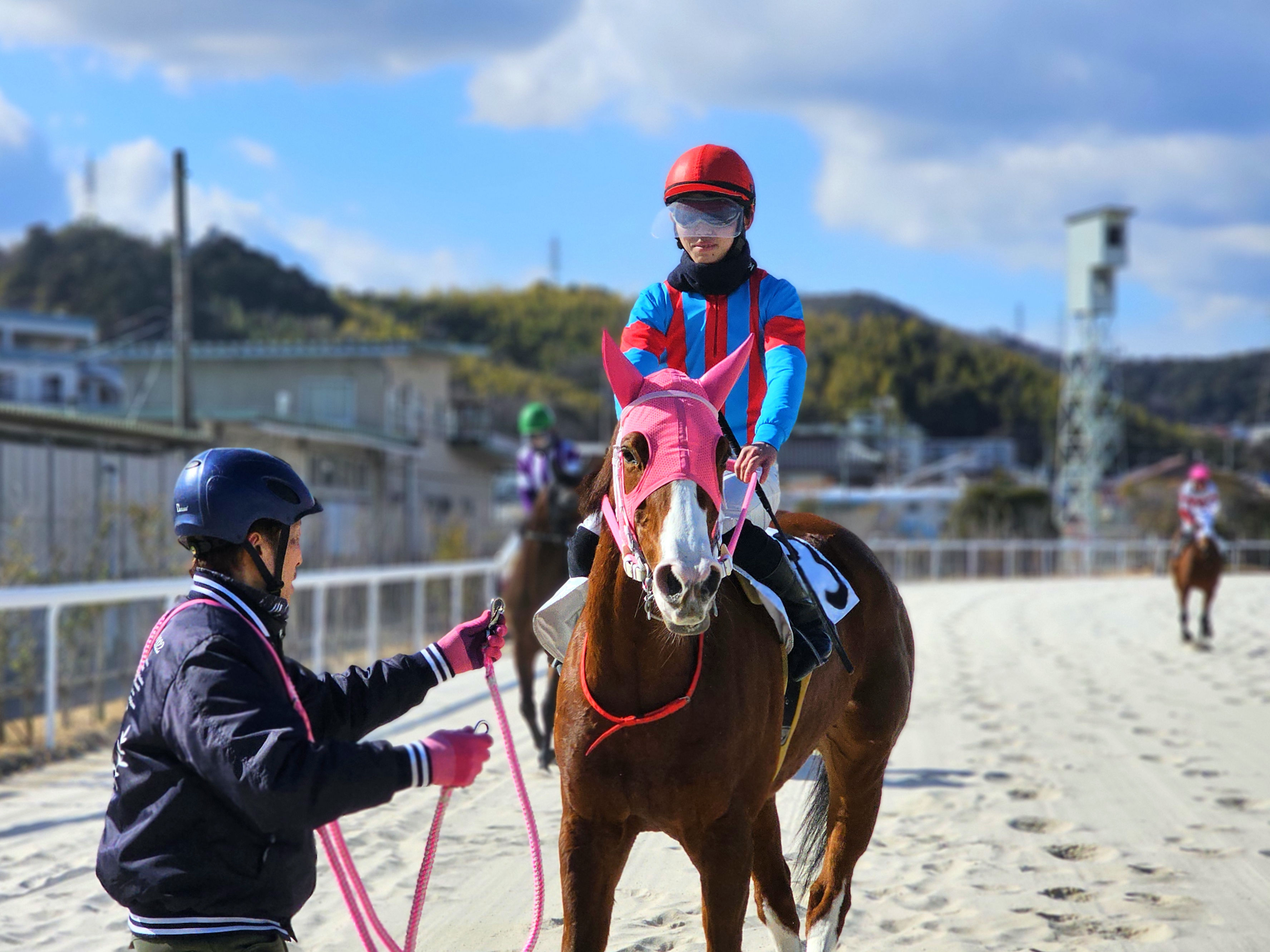 コイビトミサキの画像