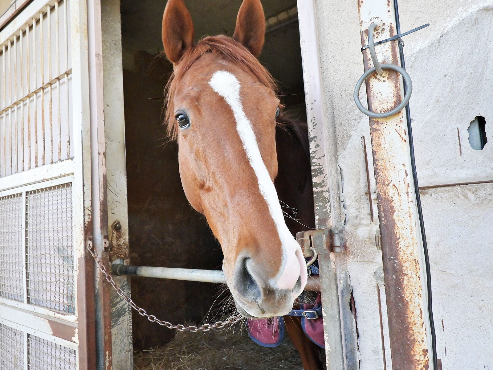 レイアンドダンスのサブ画像