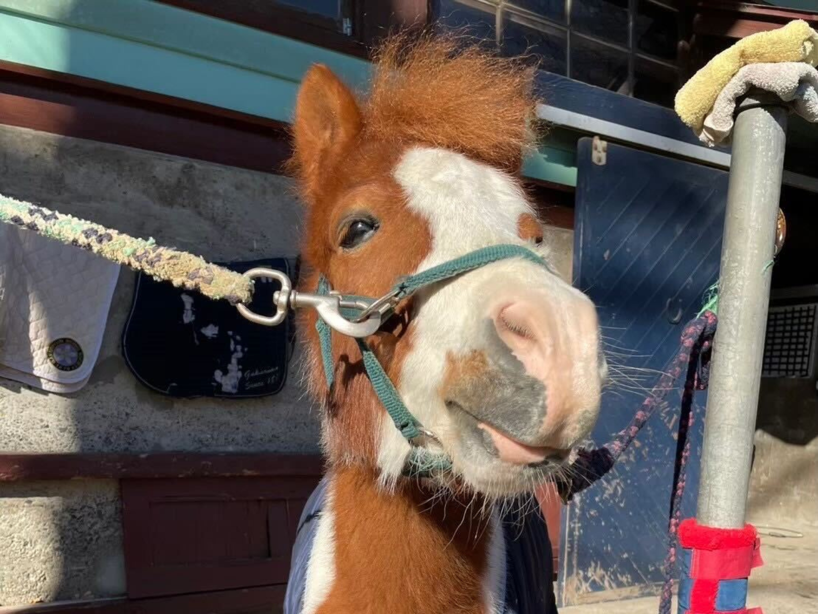 幸太郎のサブ画像