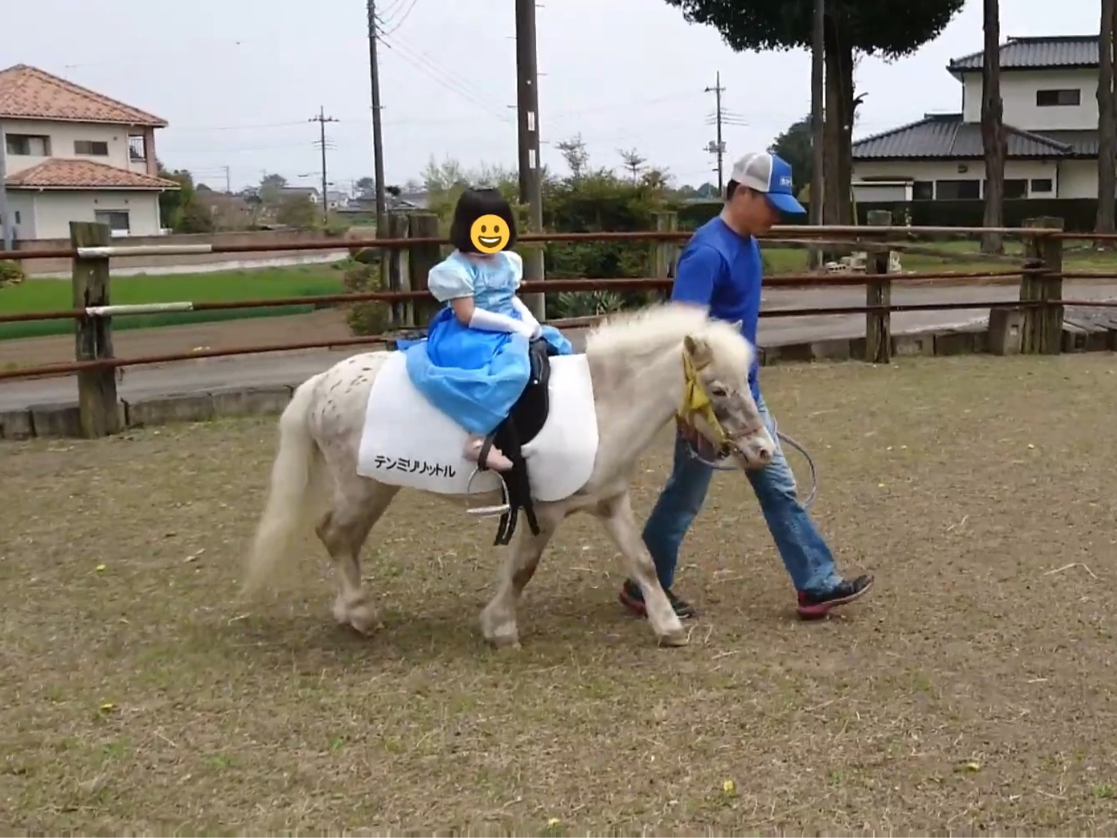 てんてん（テンミリリットル）の画像