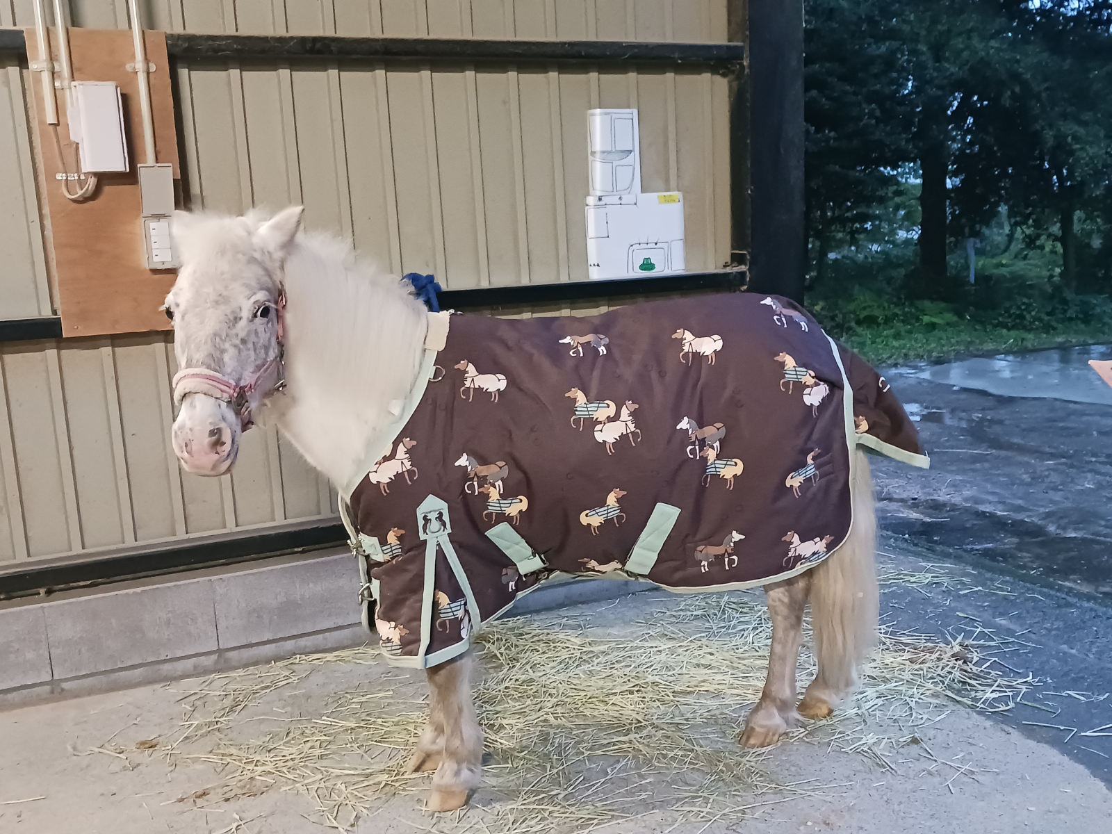 てんてん（テンミリリットル）のサブ画像