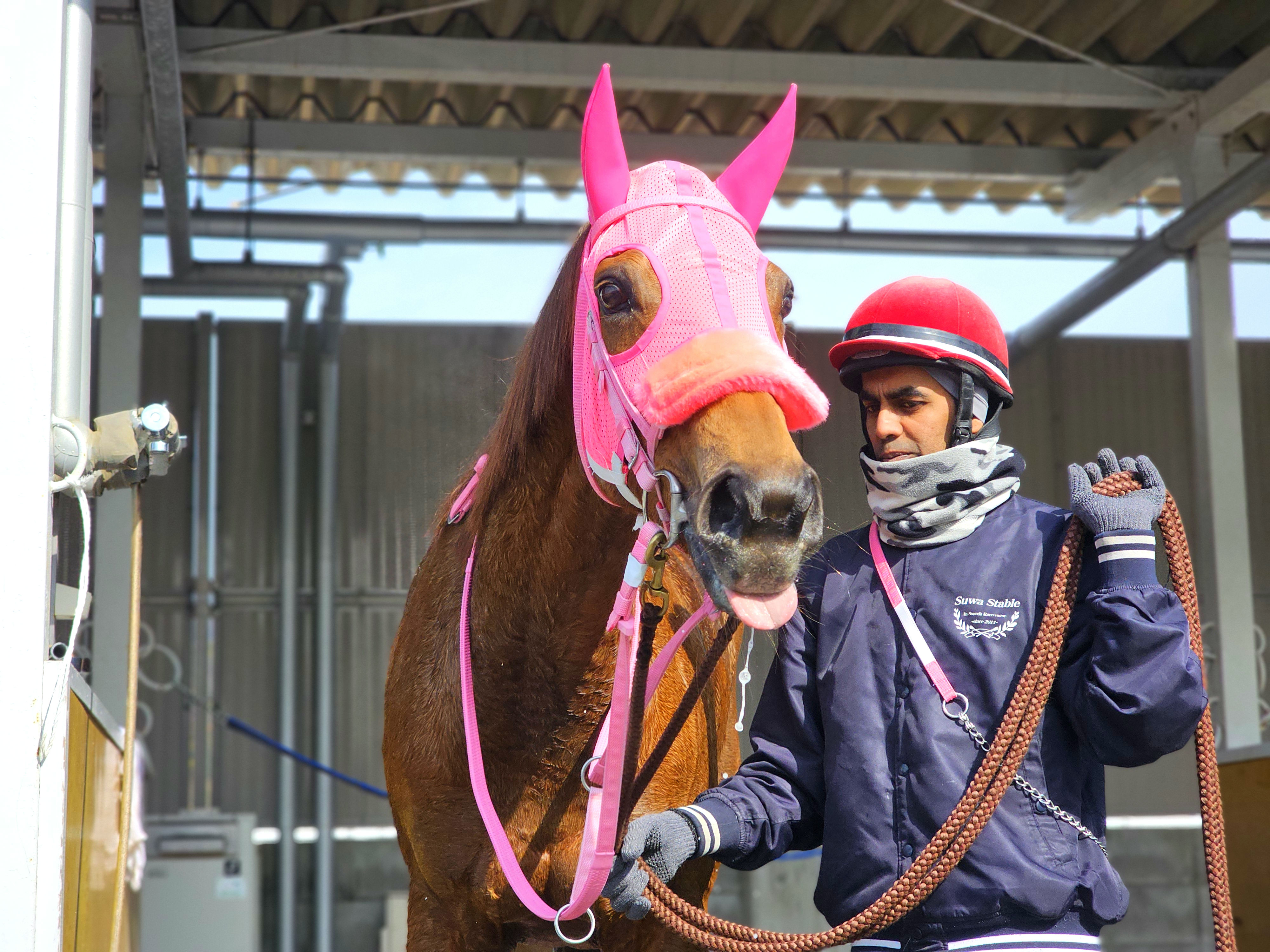 ミッテルラインの画像