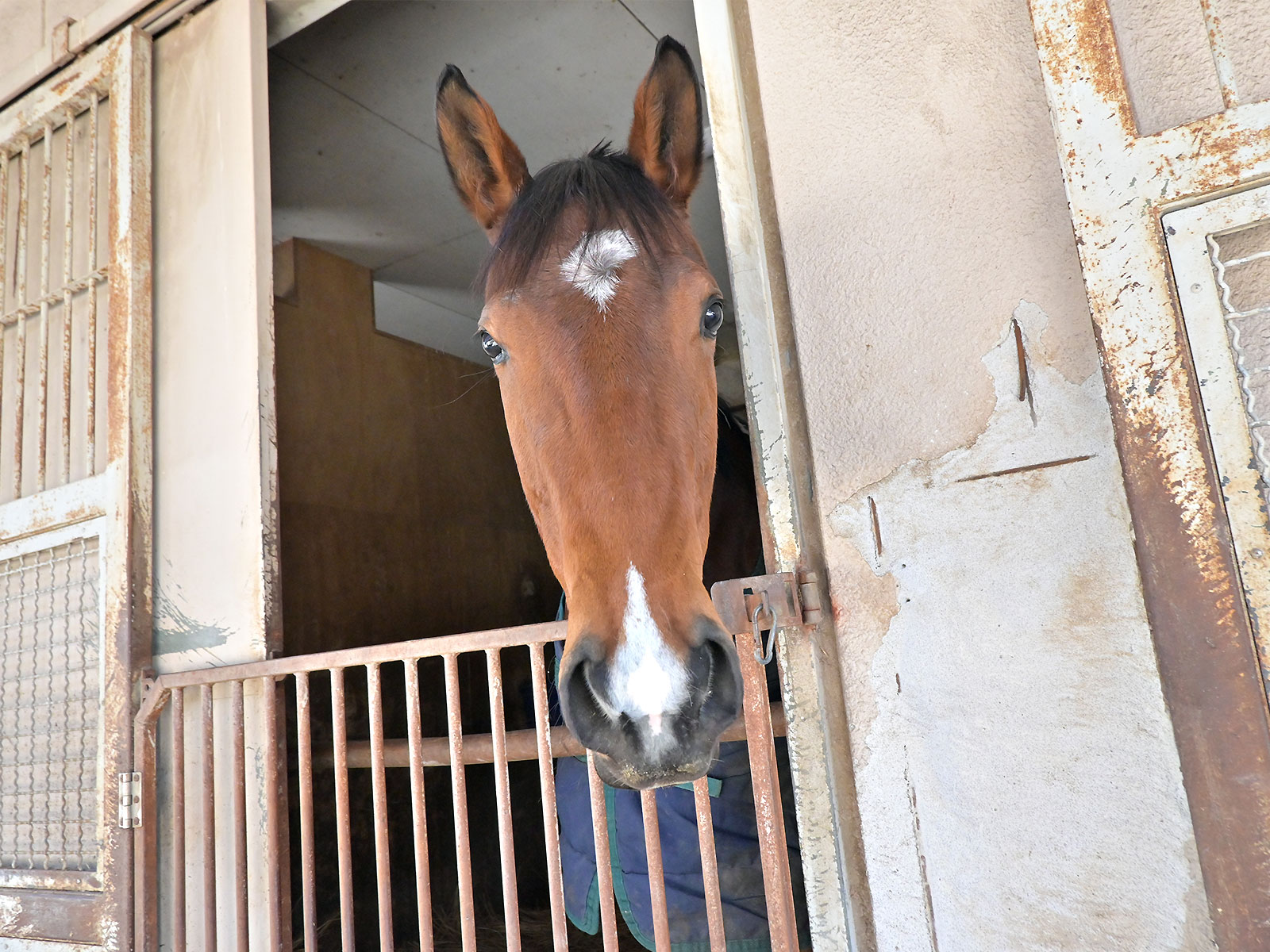 タンタンドルのサブ画像