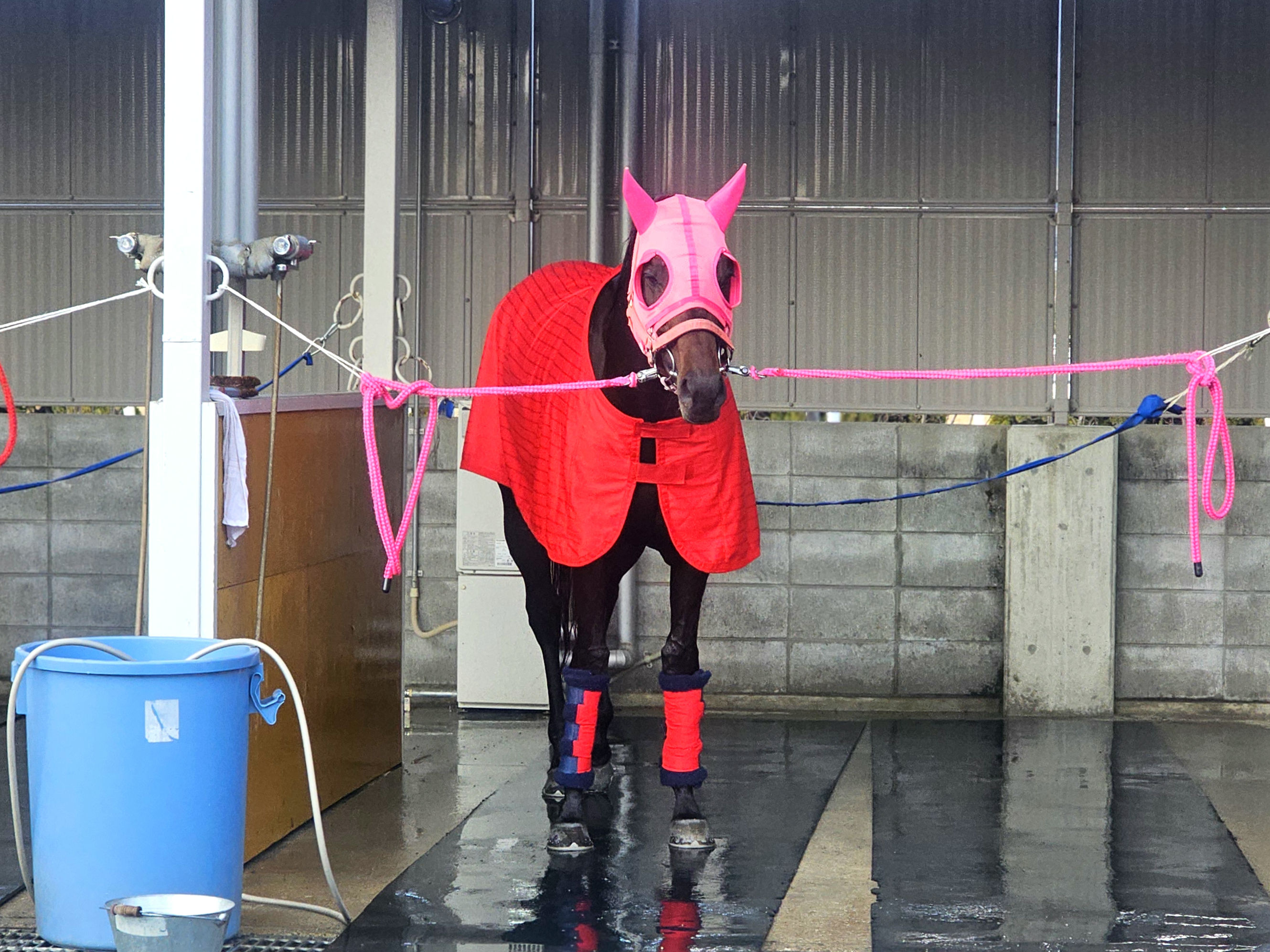 モイスチャーのサブ画像