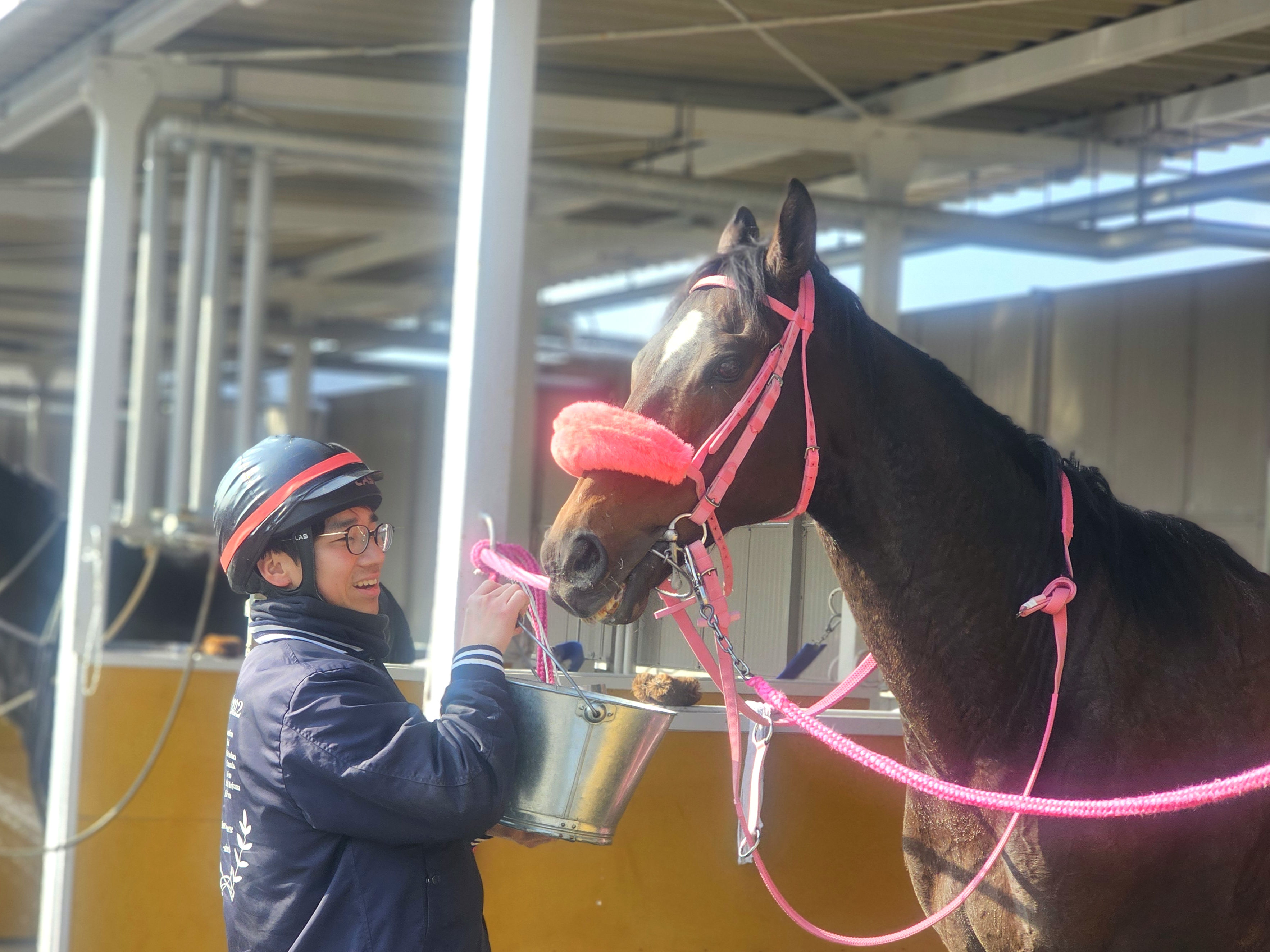 ブレーヴウィザードの画像