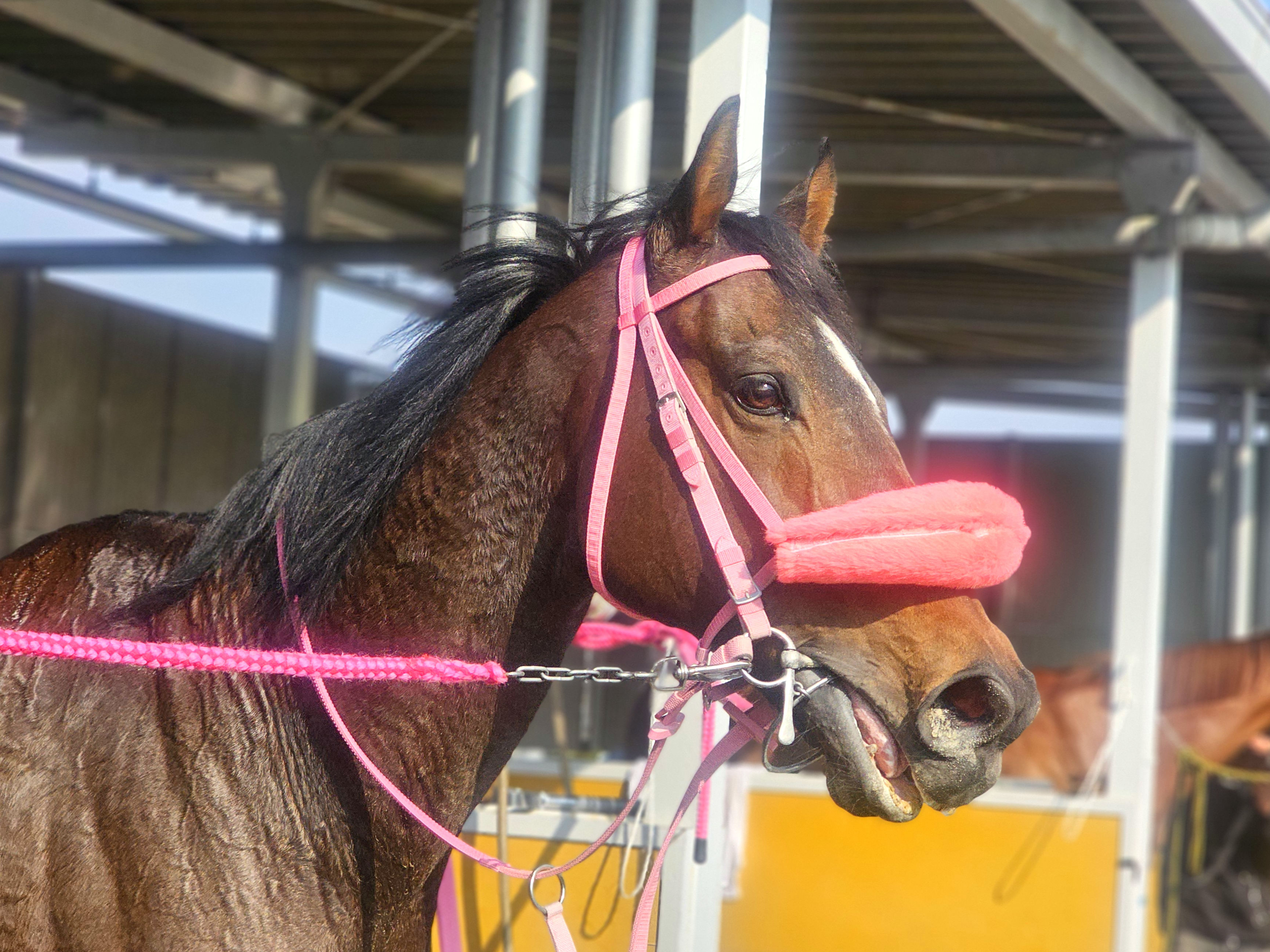 ブレーヴウィザードのサブ画像