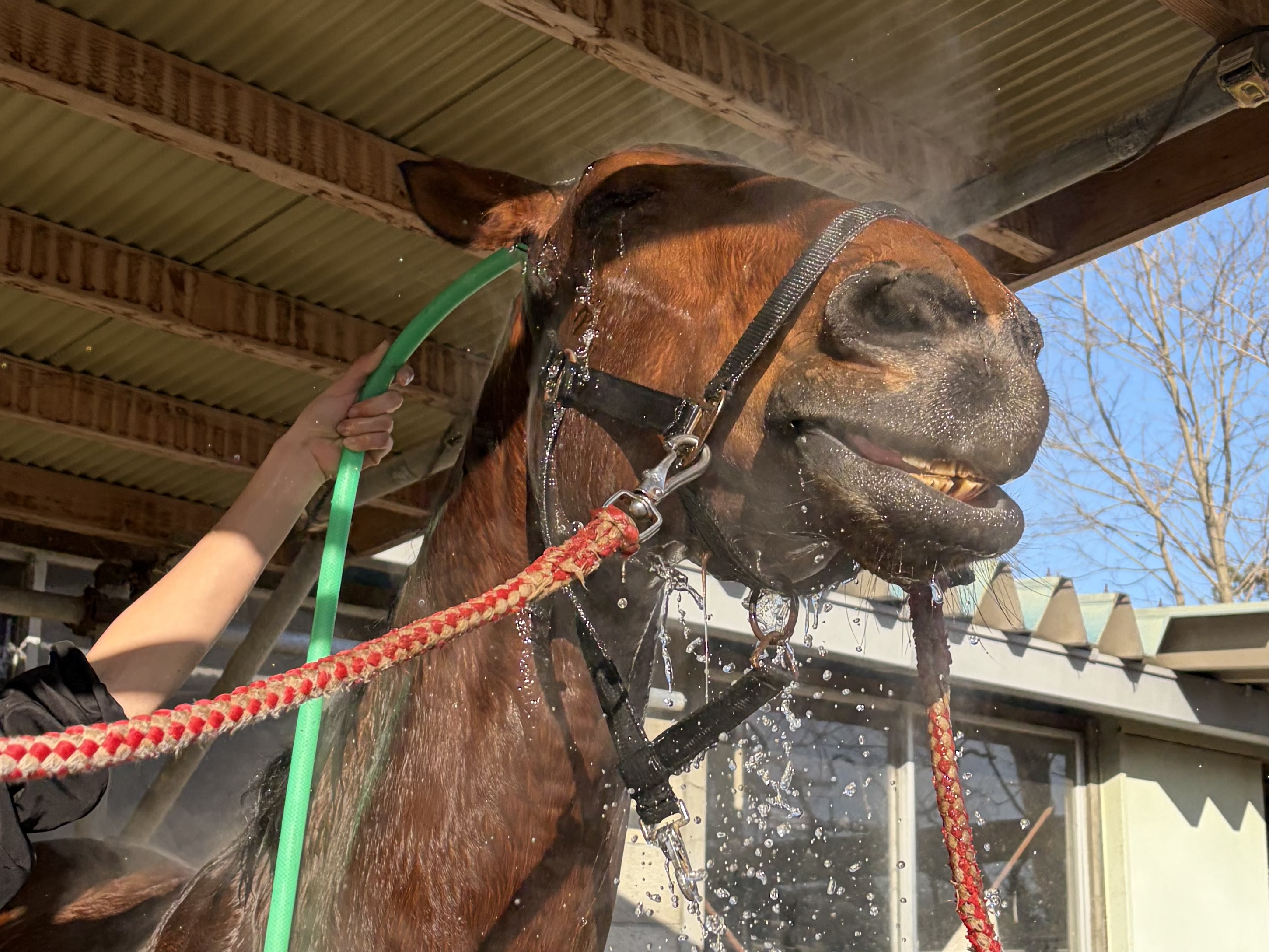 ノースアリュールのサブ画像