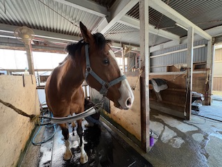 ルクスソレイユのサブ画像