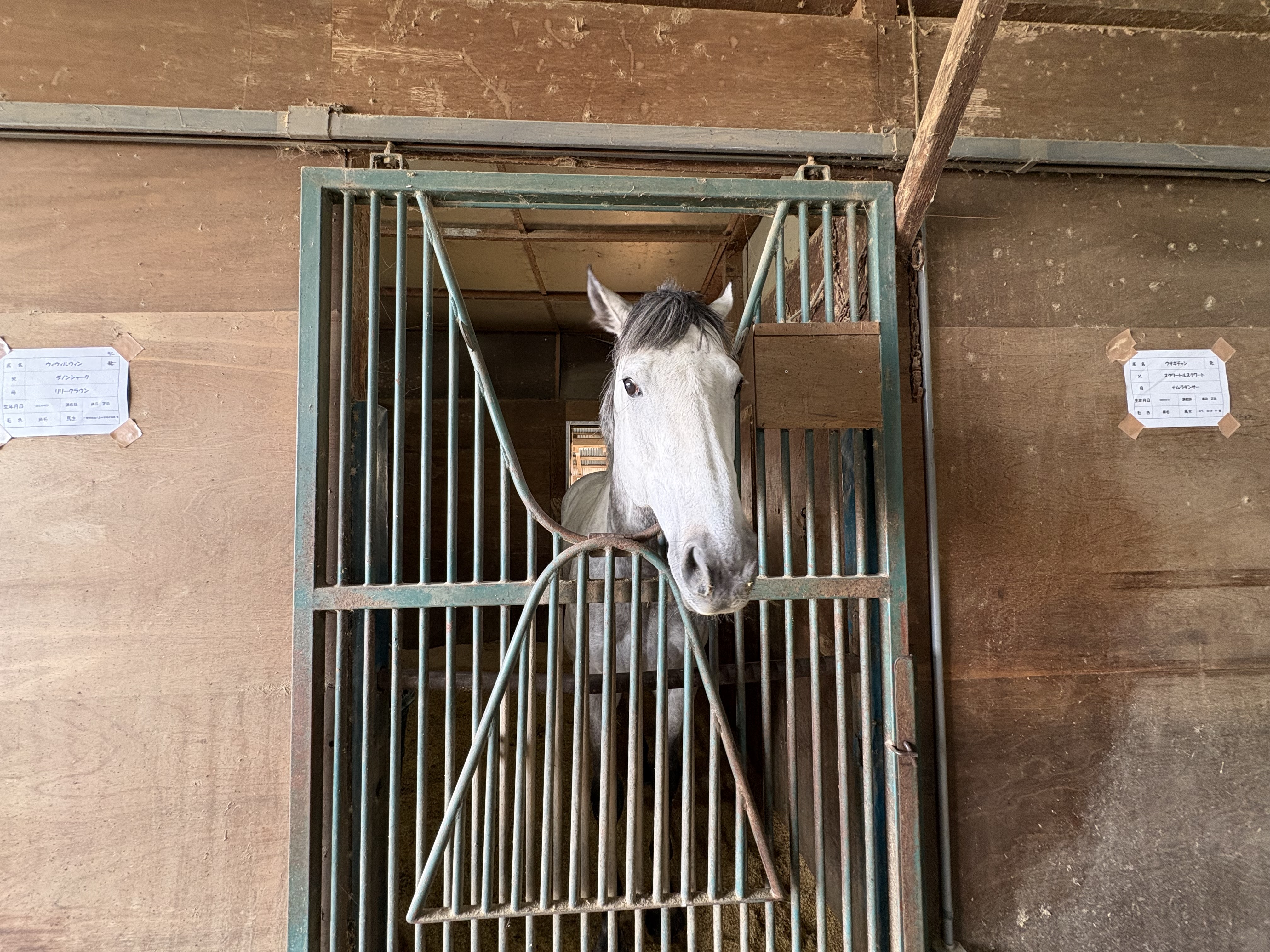 ウィウィルウィンの画像