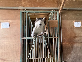 ウィウィルウィンのサブ画像