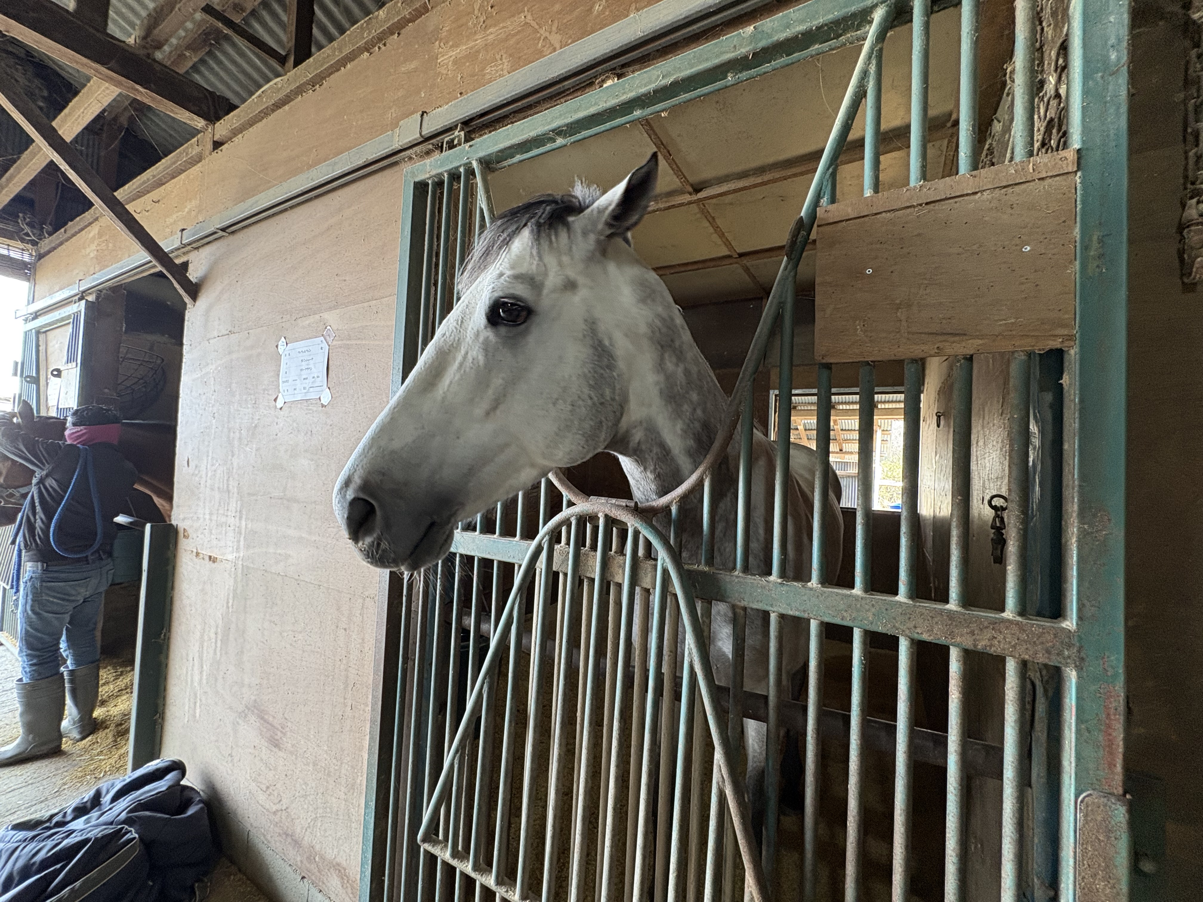 ウィウィルウィンのサブ画像