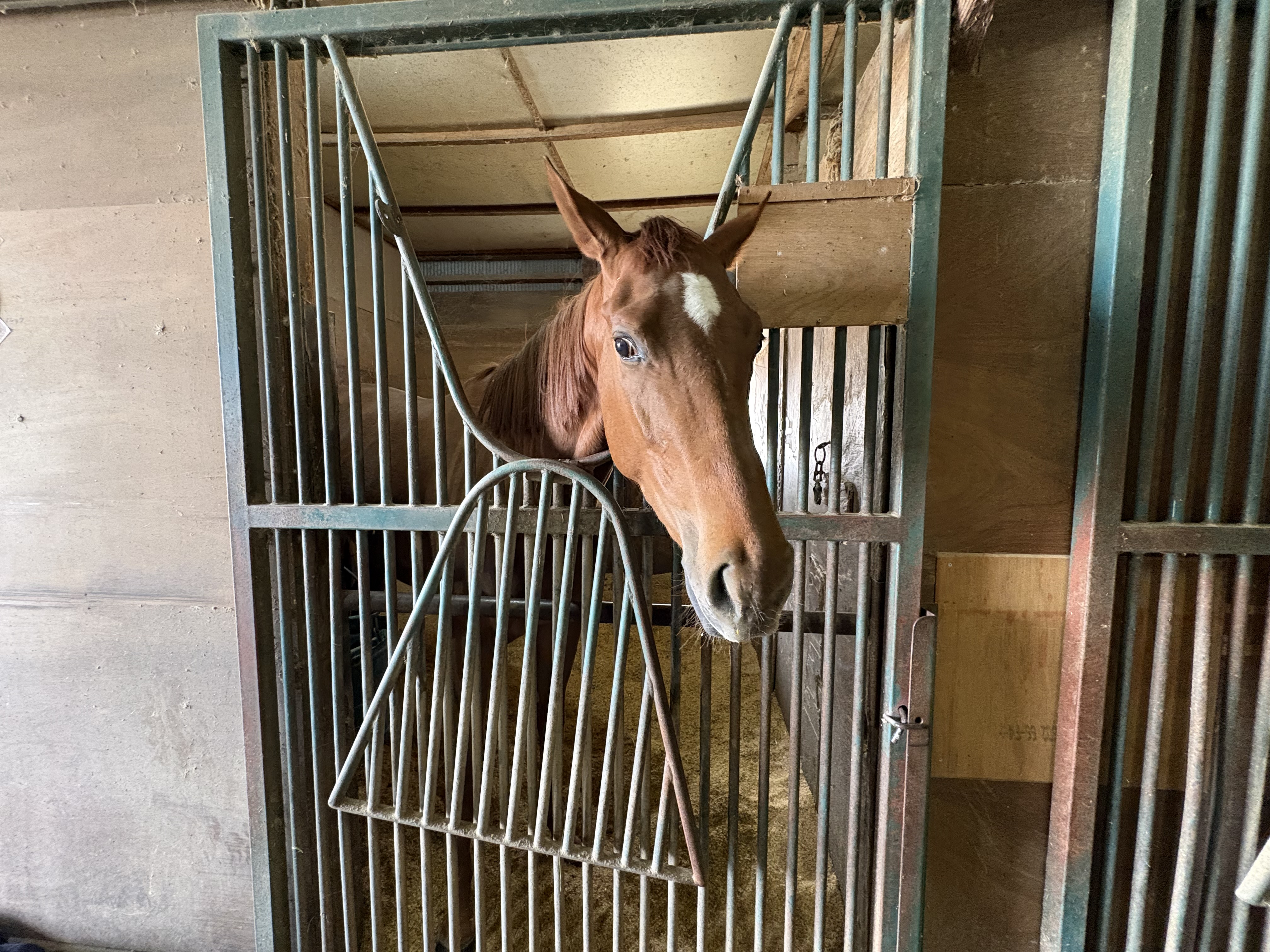 ウサギチャンのサブ画像