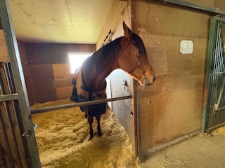 ルーンサフィールの画像