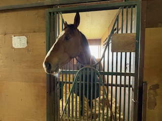 クオンタムゲートのサブ画像