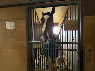 クオンタムゲートのサブ画像