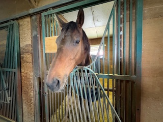 フィリオアレグロのサブ画像