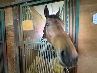 フィリオアレグロのサブ画像