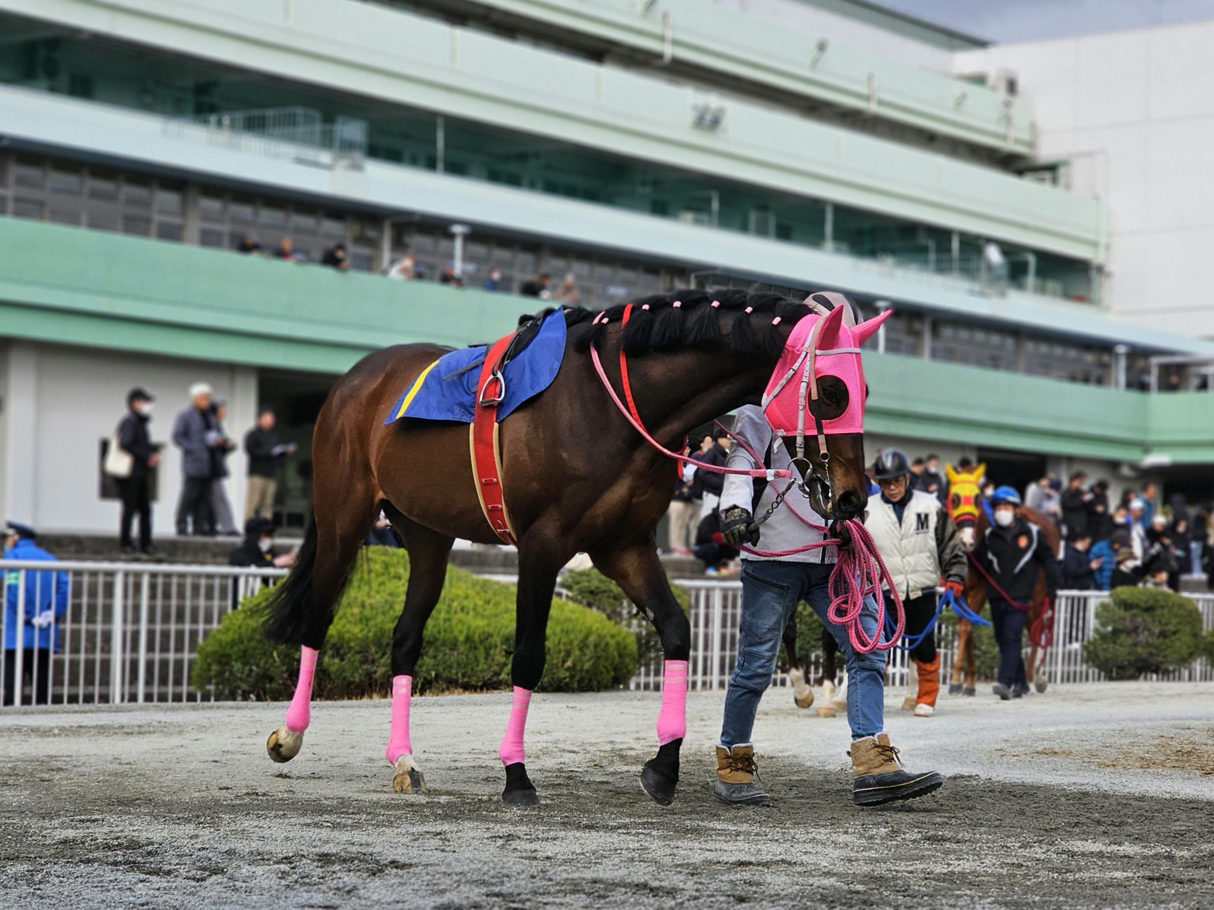 グランドルチルのサブ画像