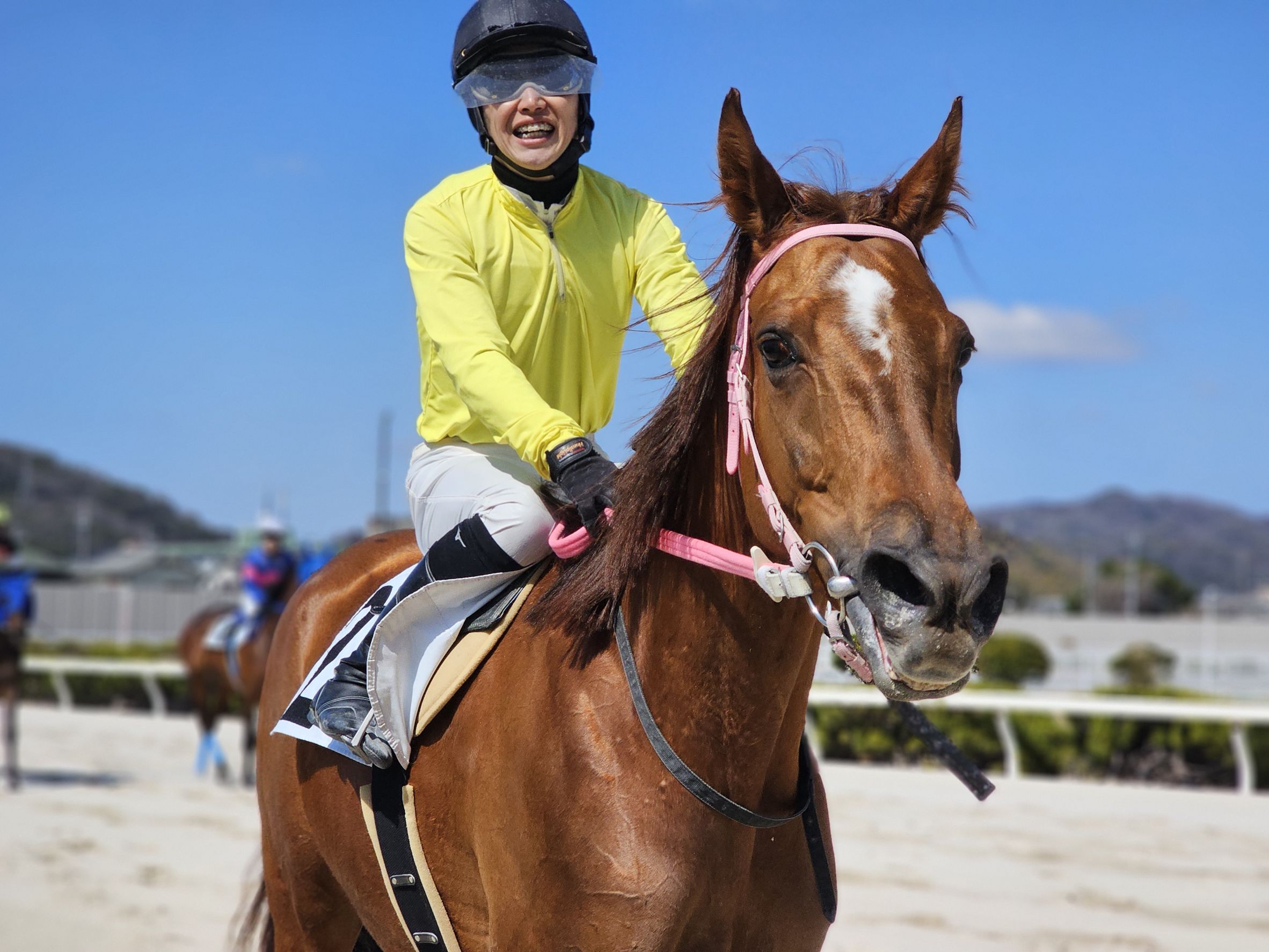 グランテミスのサブ画像