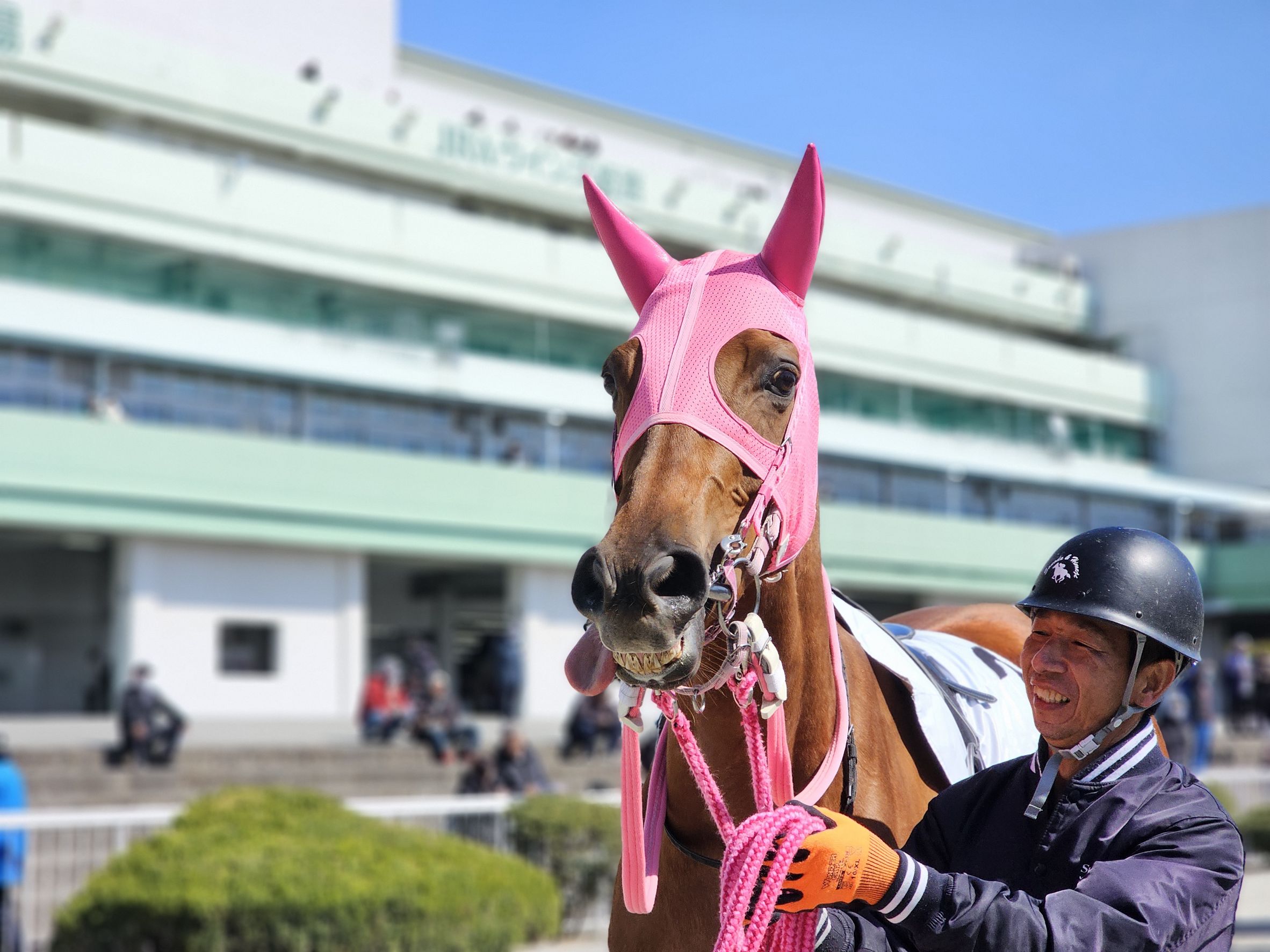 グランテミスの画像