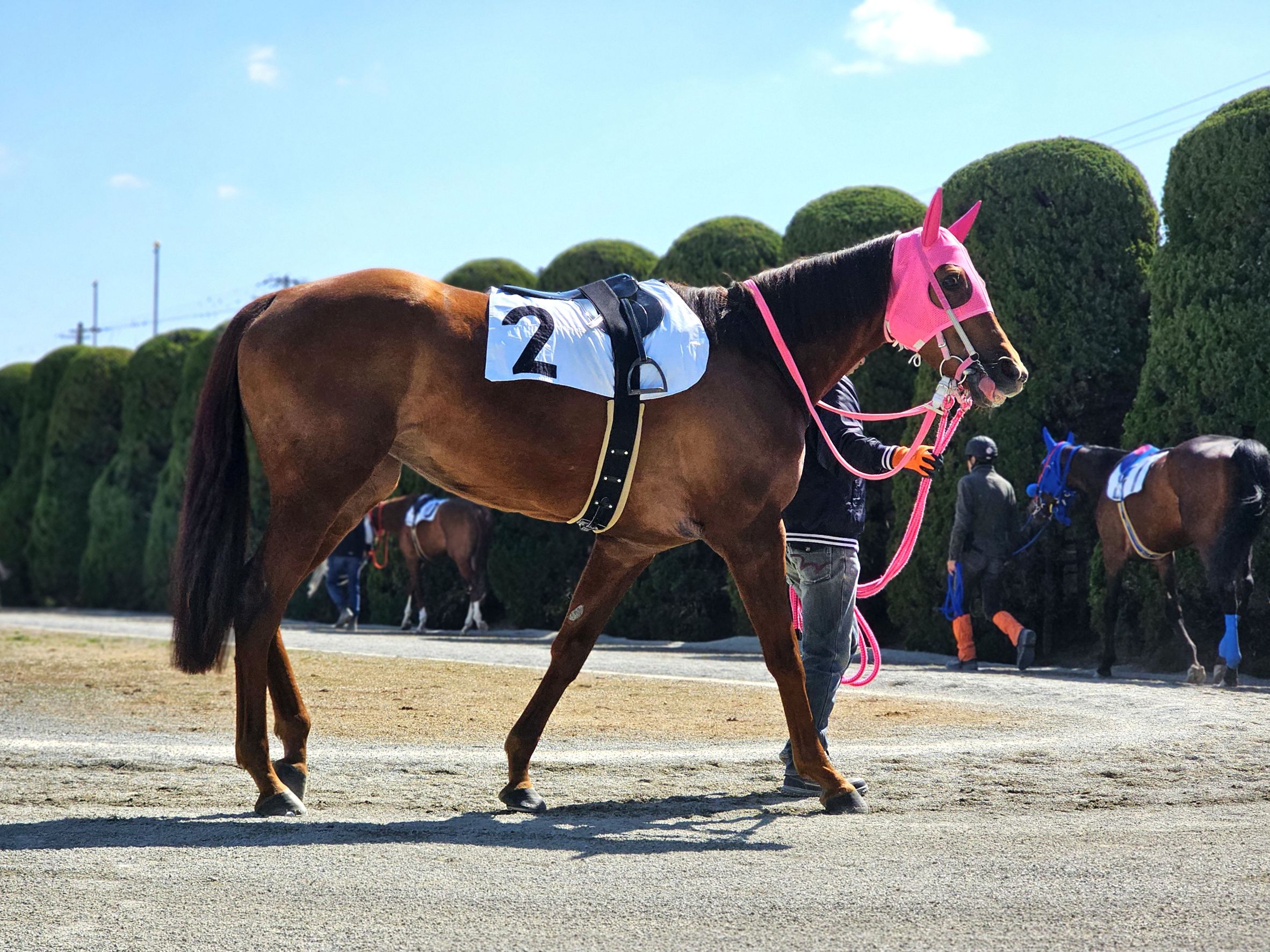 グランテミスのサブ画像