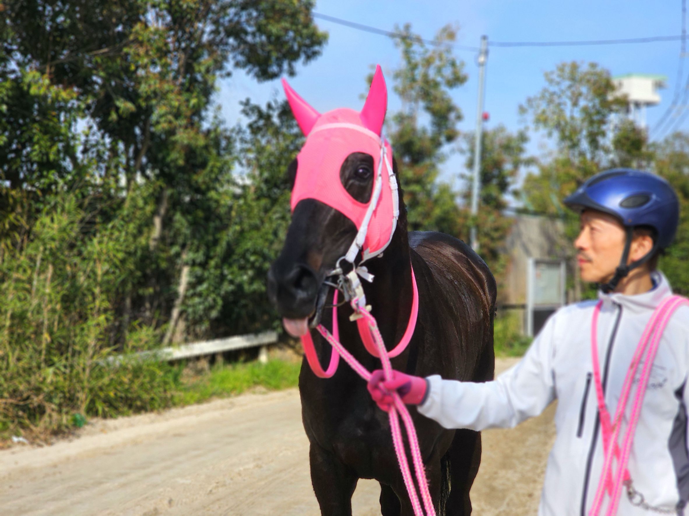 オズモポリタンのサブ画像