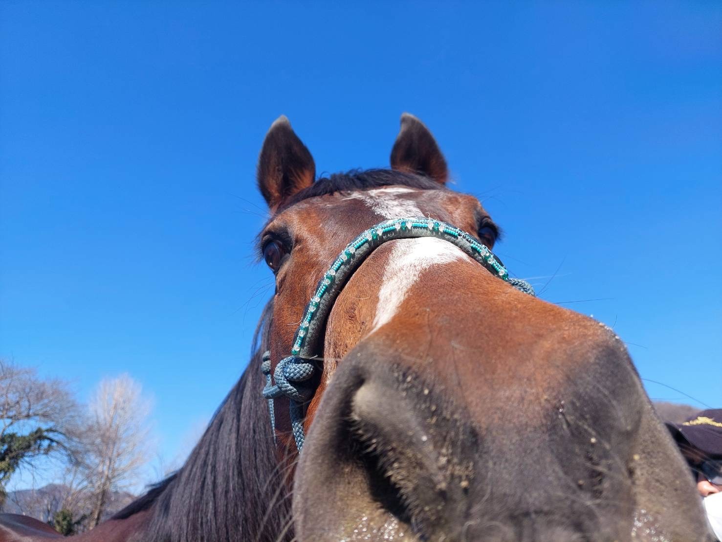 ナンカンダマシイのサブ画像
