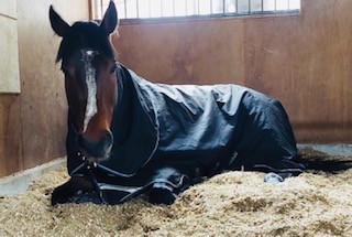 ナンカンダマシイのサブ画像