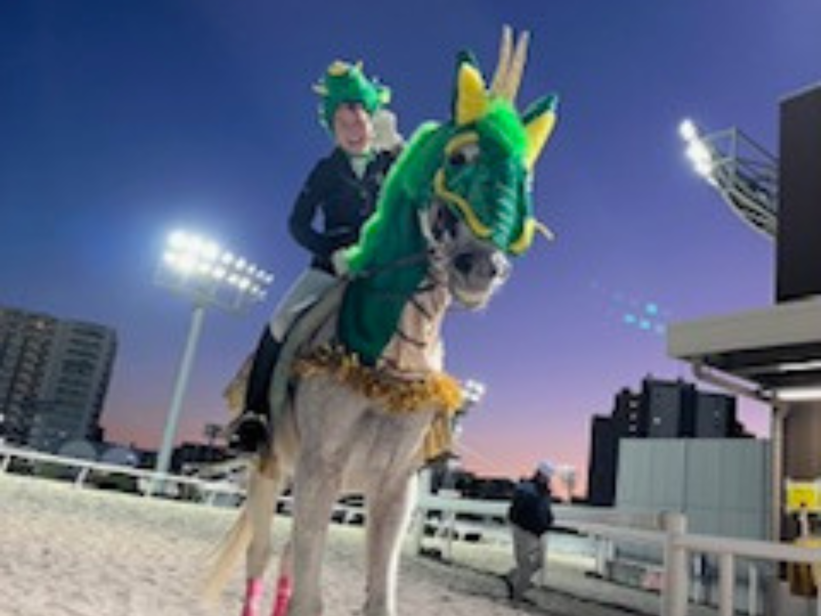 ビービートルネードのサブ画像