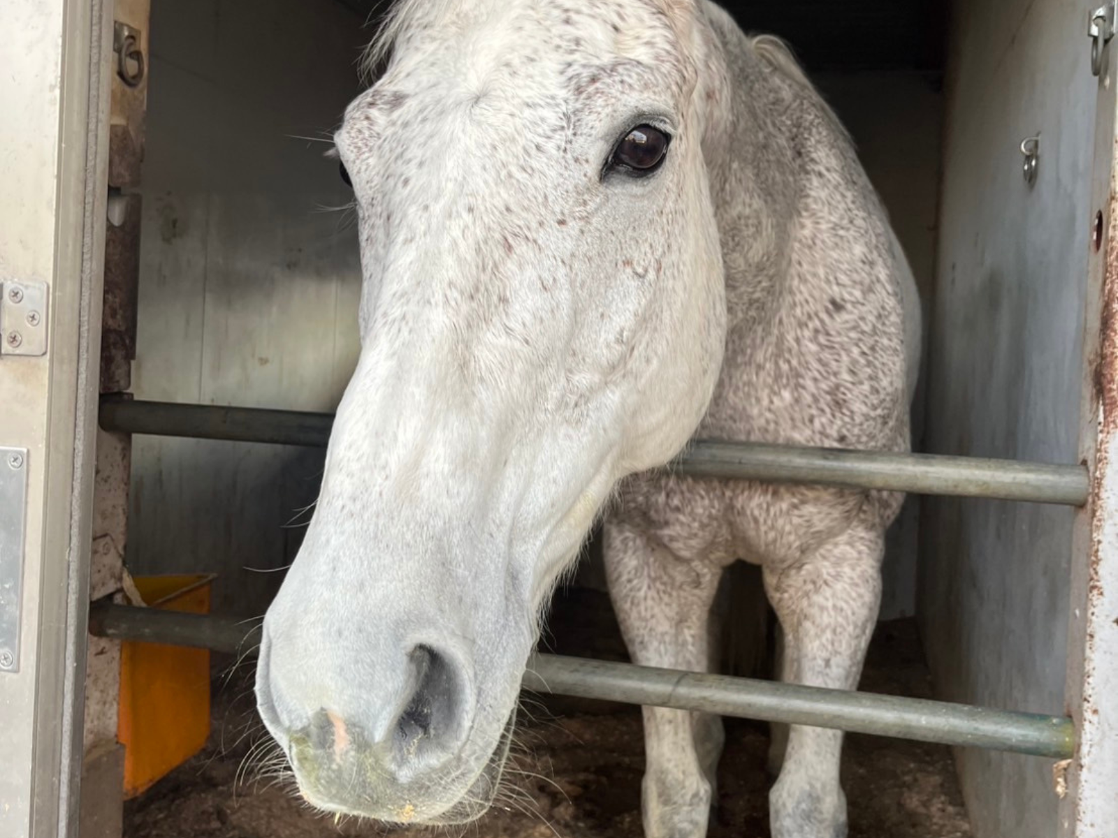 ワットロンクンのサブ画像