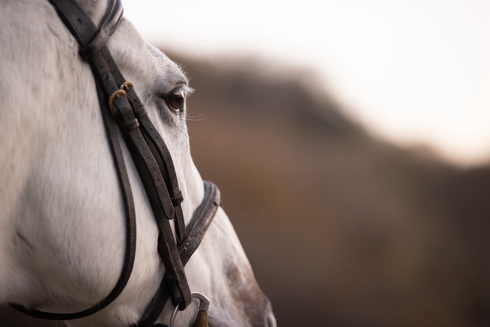 ダルヴァザのサブ画像