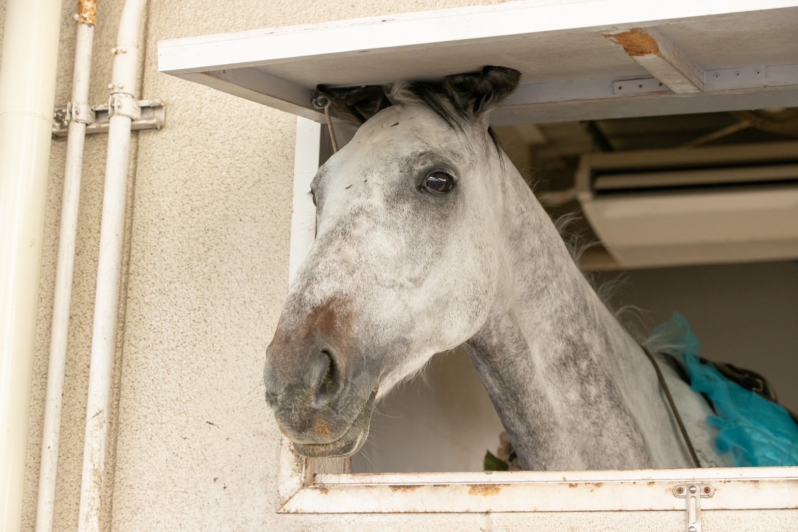 ダルヴァザの画像