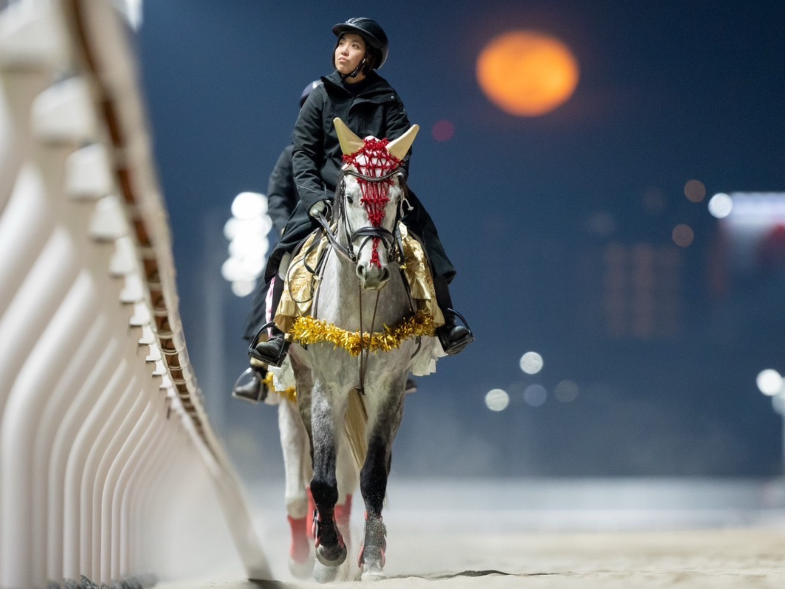 シャイニングヒカリの画像