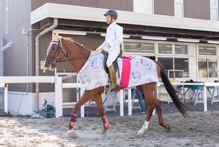 フォーヴィスムのサブ画像