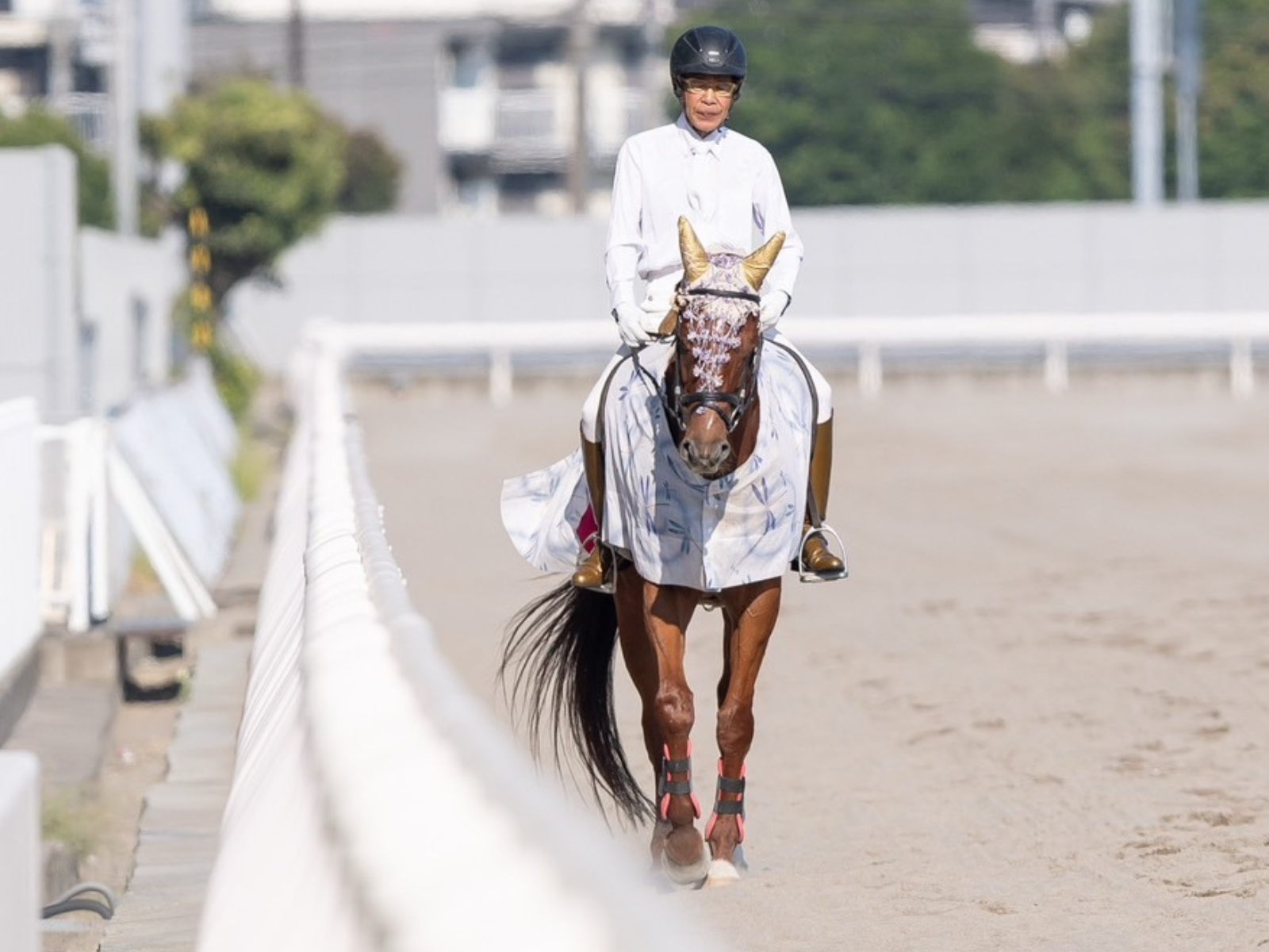 フォーヴィスムの画像