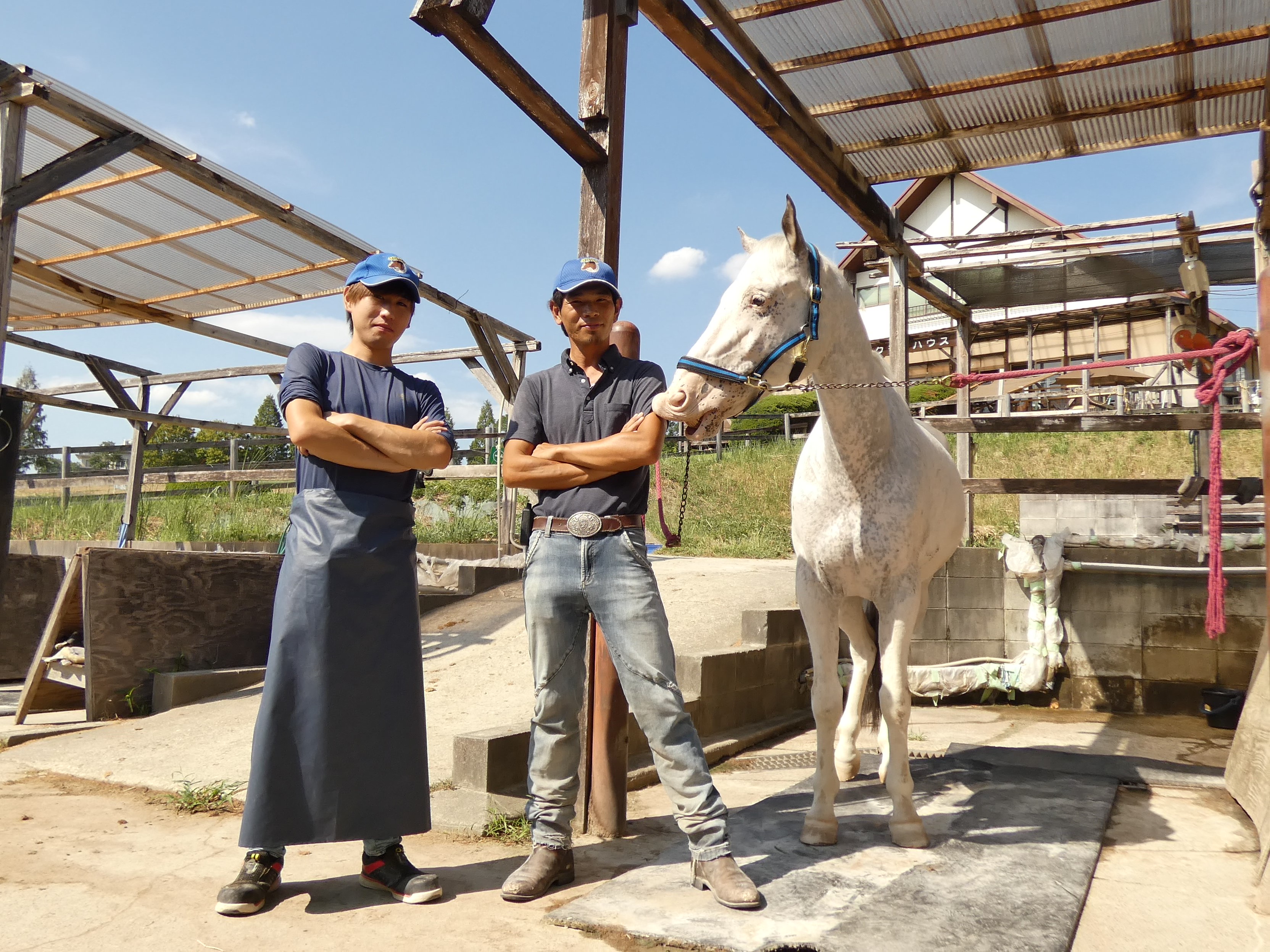 ｢うまぷれ。」サイトが誕生しました。の2枚目画像