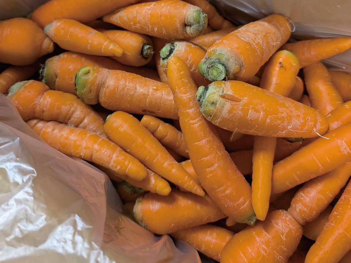 「うまぷれ。」とサーキュラーエコノミーについて