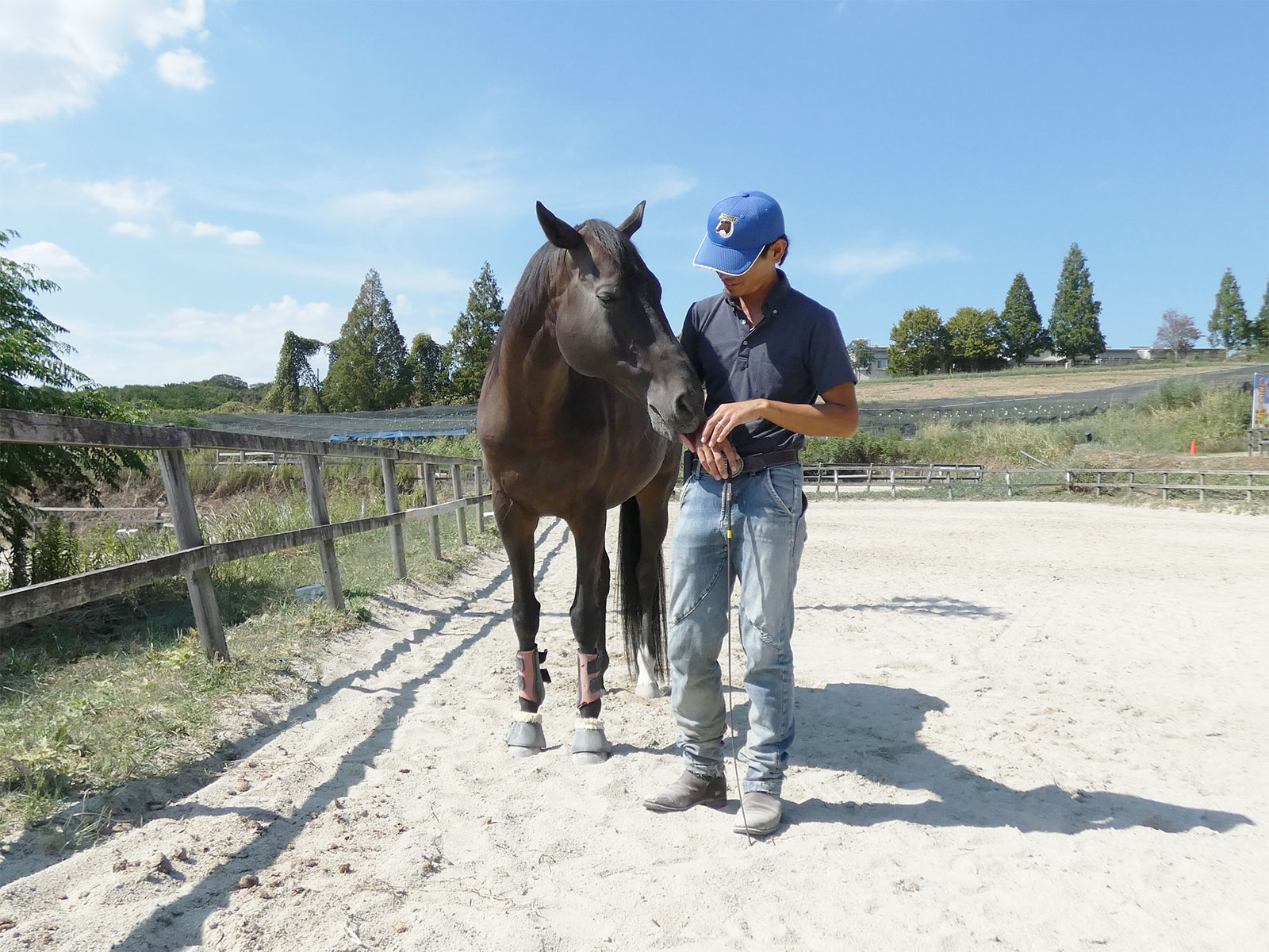 競走馬と引退馬（引退競走馬）について