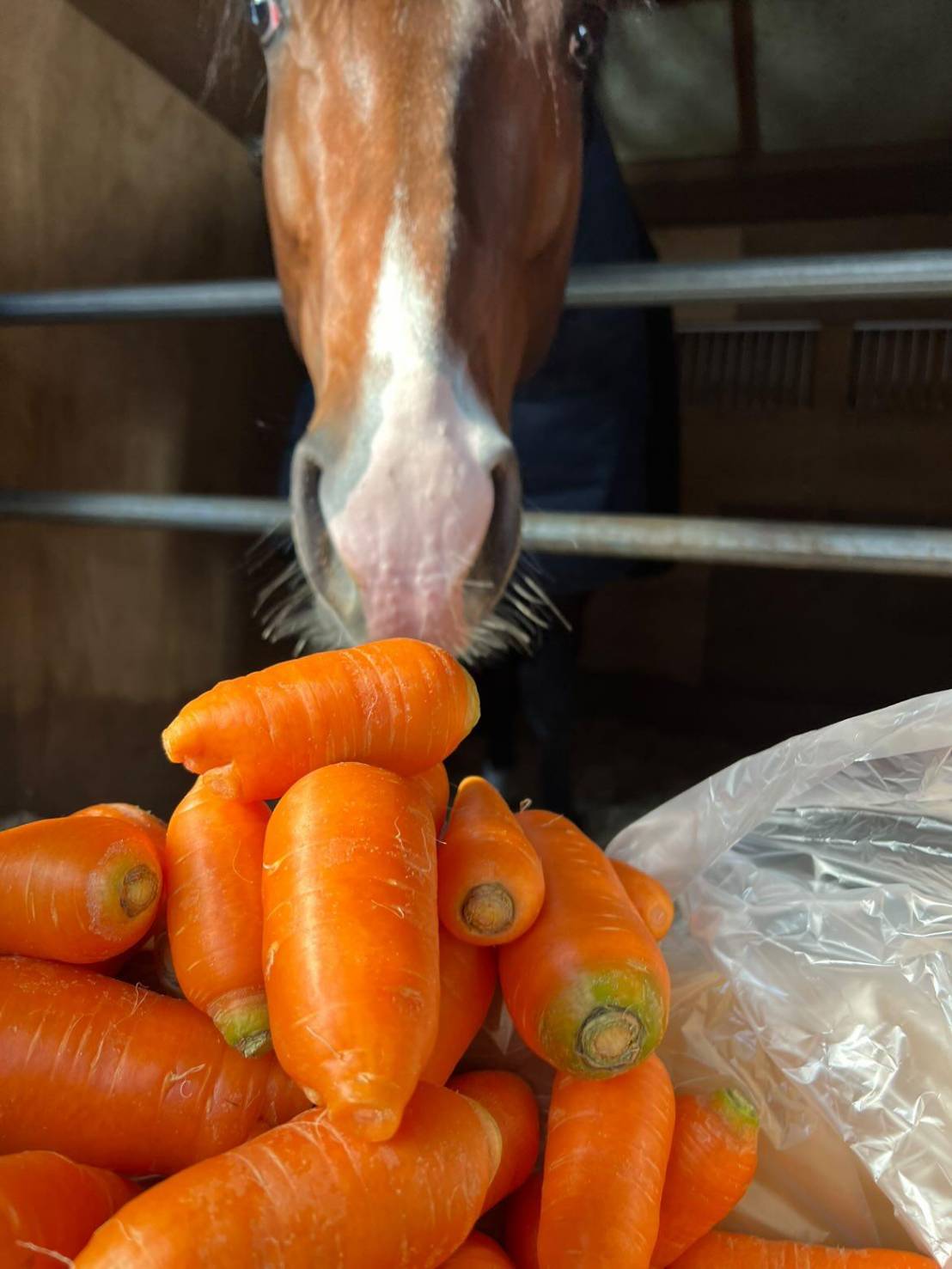 11月『うまのおやつ』を贈っていただいた皆様、ありがとうございました！の1枚目画像