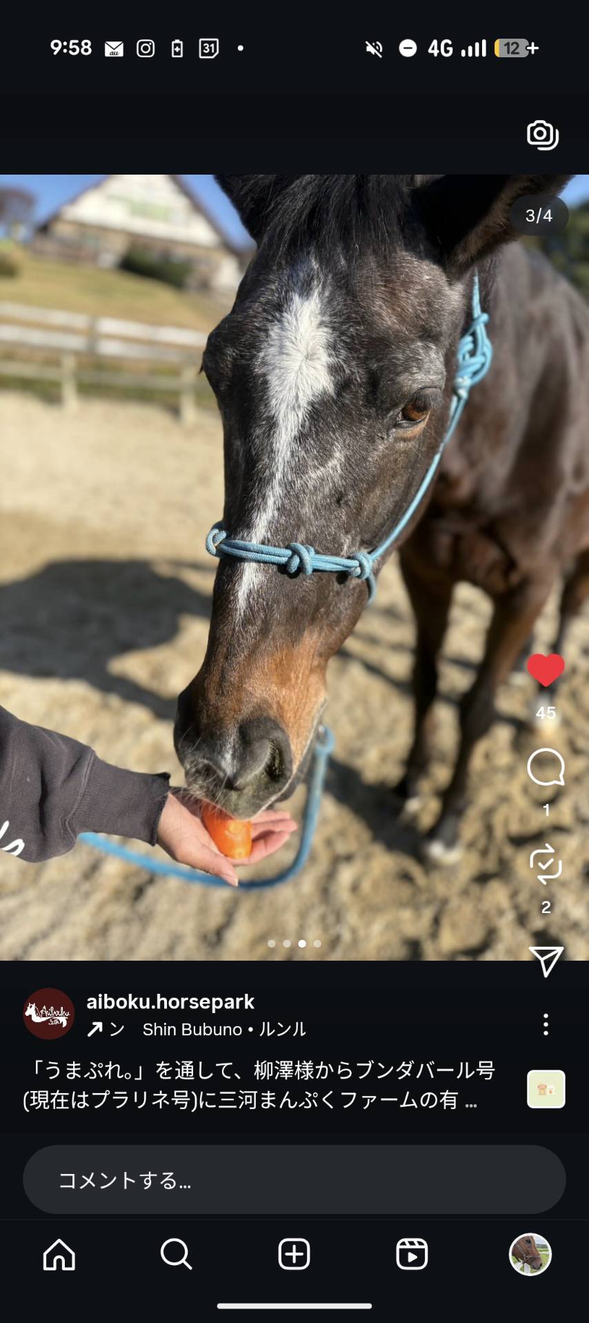 11月『うまのおやつ』を贈っていただいた皆様、ありがとうございました！の2枚目画像