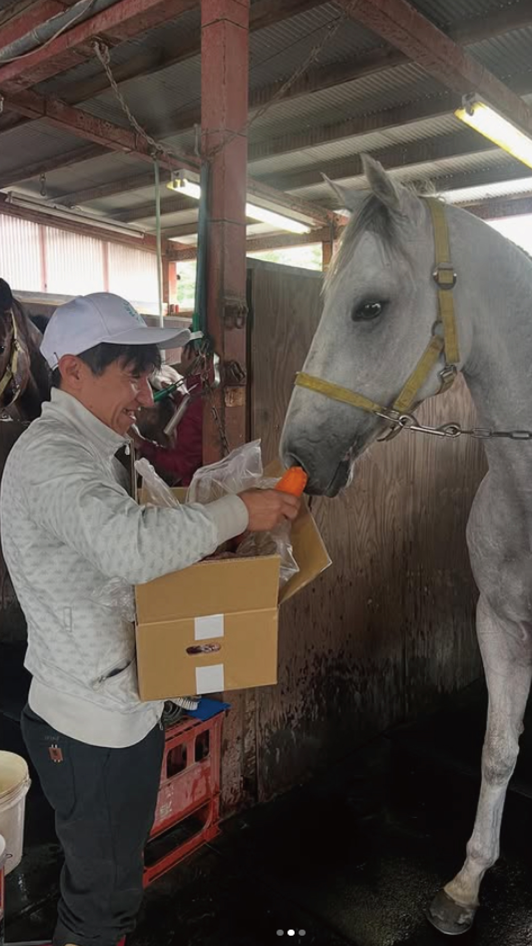 11月『うまのおやつ』を贈っていただいた皆様、ありがとうございました！の5枚目画像