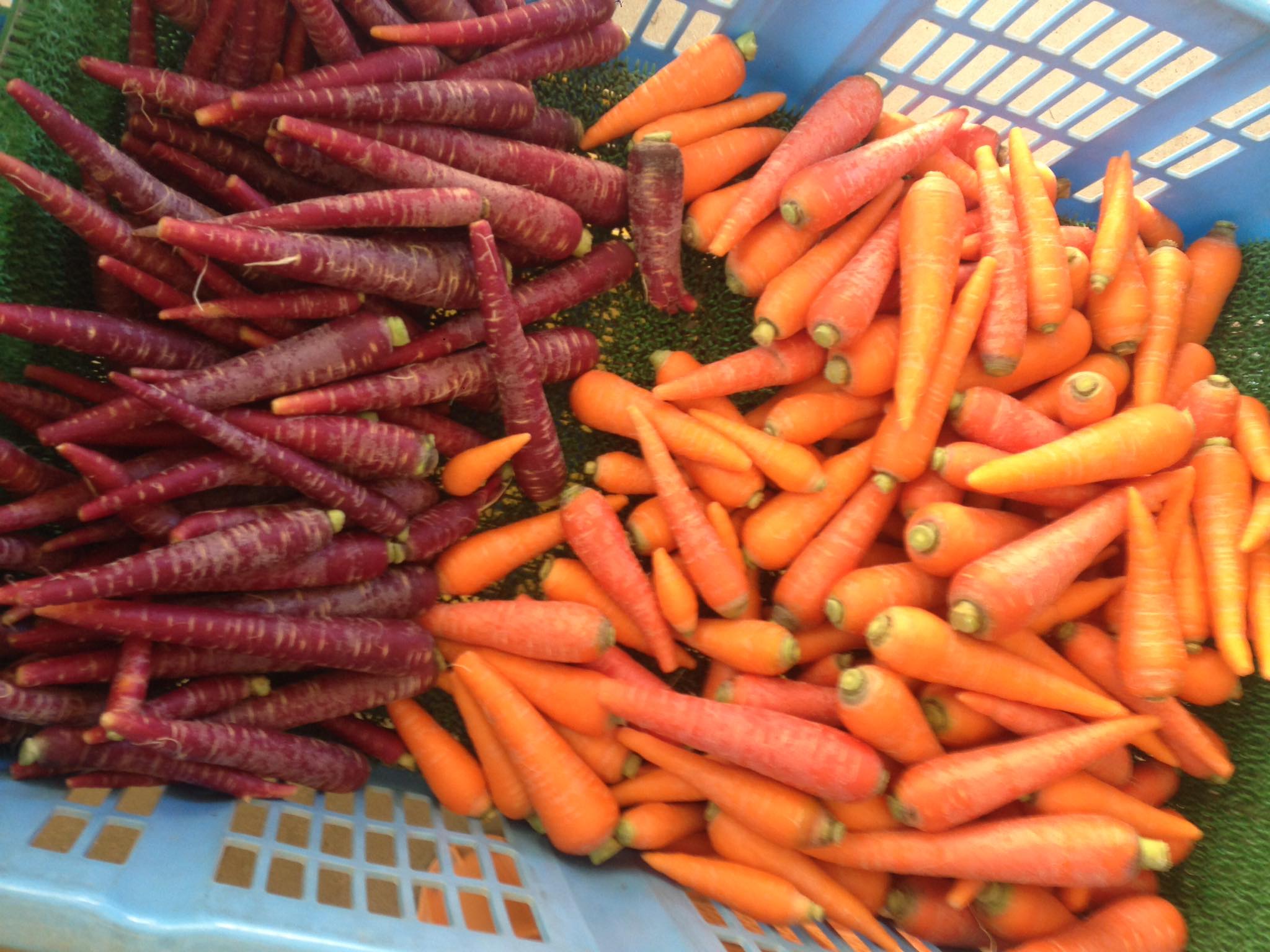 （重要）年末年始のうまのおやつ受付と日時指定につきましての1枚目画像
