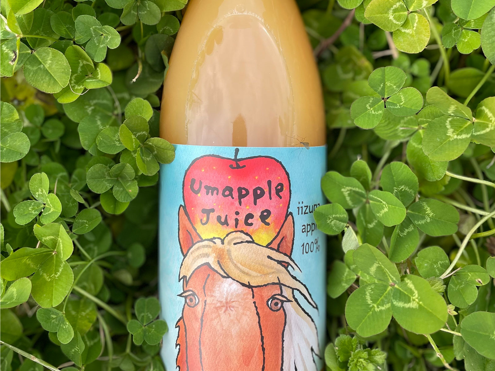 お馬さんにりんごが贈れる様になります(馬の堆肥で育てたりんご）の3枚目画像