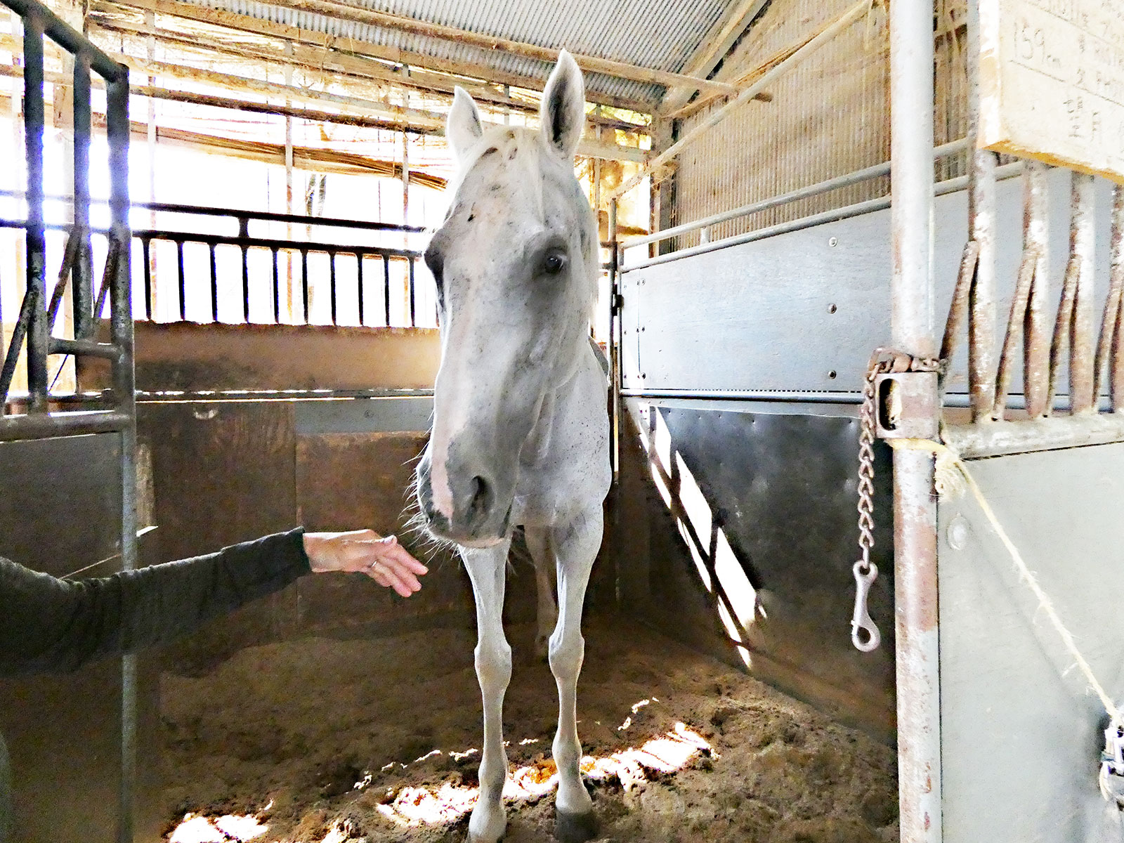 12月『うまのおやつ』を贈っていただいた皆様、ありがとうございました！の3枚目画像